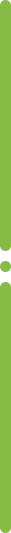 founder border